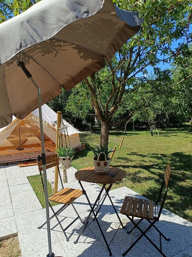 Tente Mongole 